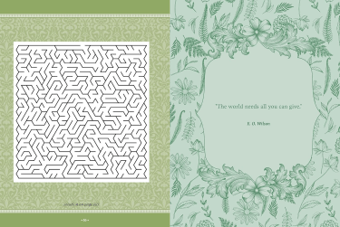 חוברת צביעה FLORA,FAUNA,BOTANICALS AND BEES stiker,color&activity book