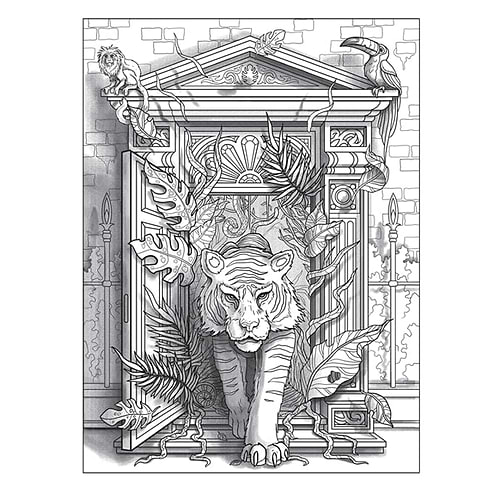 חוברת צביעה DIMENSIONS A 3D COLOURING BOOK