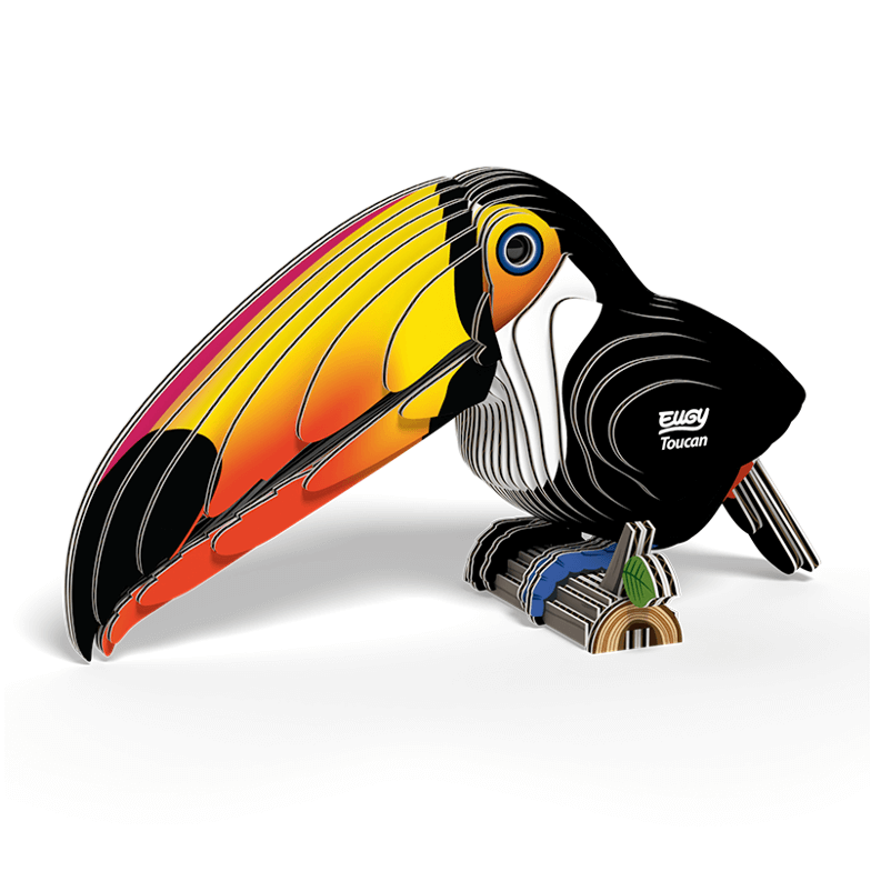 ערכת הרכבה טוקן TOUCAN 3D