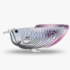 ערכת הרכבה אריאנה כסופה SILVER AROWANA 3D