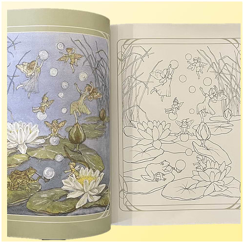חוברת צביעה THE VINTAGE FAIRIES