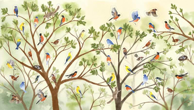 חוברת מדבקות A BIRD LOVER'S STICKER BOOK