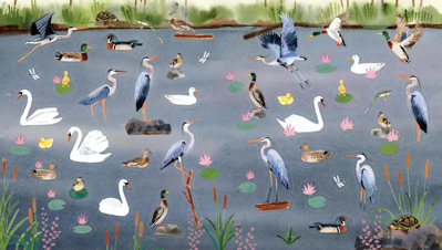 חוברת מדבקות A BIRD LOVER'S STICKER BOOK