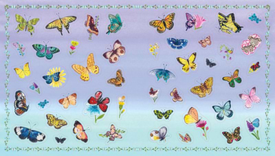חוברת מדבקות A BIRD LOVER'S STICKER BOOK