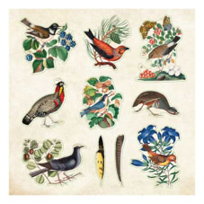 חוברת מדבקות   ZOOLOGICAL EPHEMERA