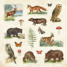 חוברת מדבקות   ZOOLOGICAL EPHEMERA