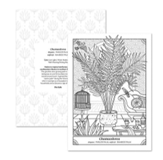 חוברת צביעה THE HAPPY HOUSEPLANT COLORING BOOK