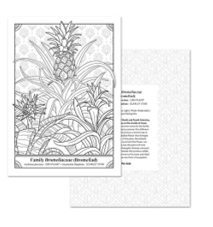 חוברת צביעה THE HAPPY HOUSEPLANT COLORING BOOK