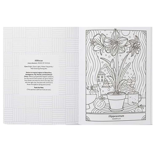 חוברת צביעה THE HAPPY HOUSEPLANT COLORING BOOK