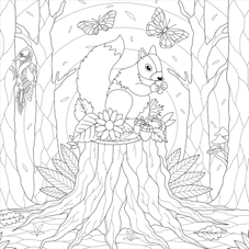 חוברת צביעה BOHO DREAMS ARTIST'S COLORING BOOK
