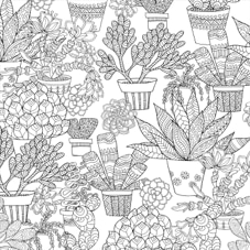 חוברת צביעה SUCCULENTS ARTIST'S COLORING BOOK
