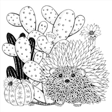 חוברת צביעה SUCCULENTS ARTIST'S COLORING BOOK