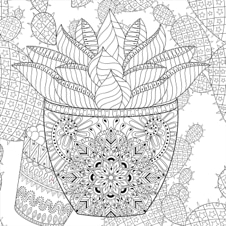 חוברת צביעה SUCCULENTS ARTIST'S COLORING BOOK