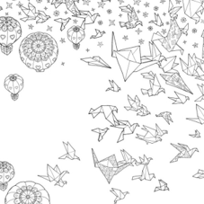 ספר צביעה THE NIGHT VOYAGE COLORING BOOK