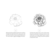 חוברת הדרכה HOW TO DRAW MODERN FLORALS