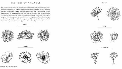 חוברת הדרכה HOW TO DRAW MODERN FLORALS