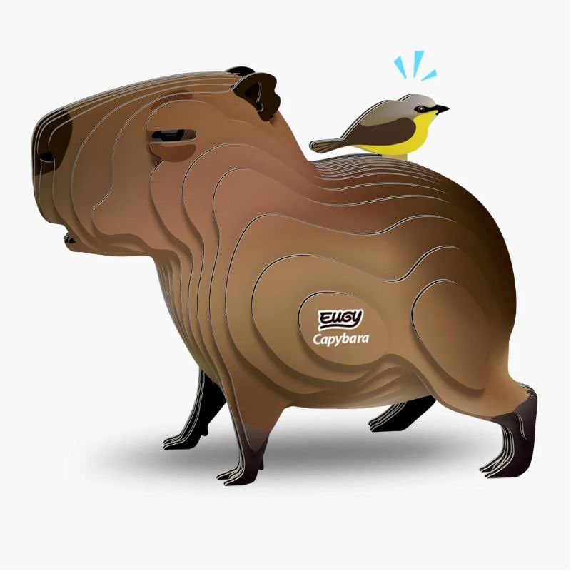 ערכת הרכבה קפיברה CAPYBARA 3D