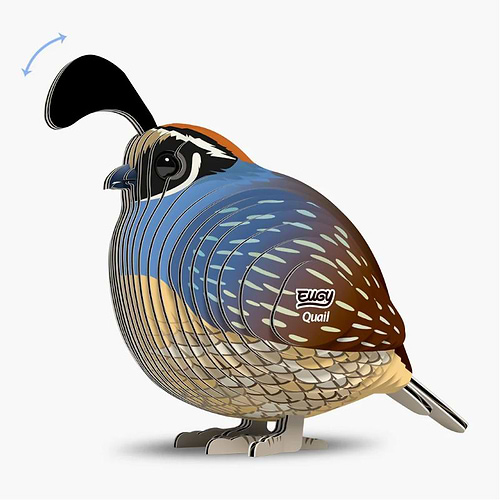 ערכת הרכבה שליו QUAIL 3D