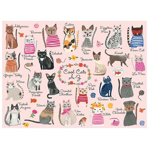 פאזל 1000 חלקים חתולים מגניבים - COOL CATS A-Z PUZZLE
