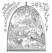 חוברת צביעה THE WONDROUS WORKING SCIENCE AND NATURE COLOURING BOOK