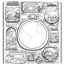 חוברת צביעה THE WONDROUS WORKING SCIENCE AND NATURE COLOURING BOOK