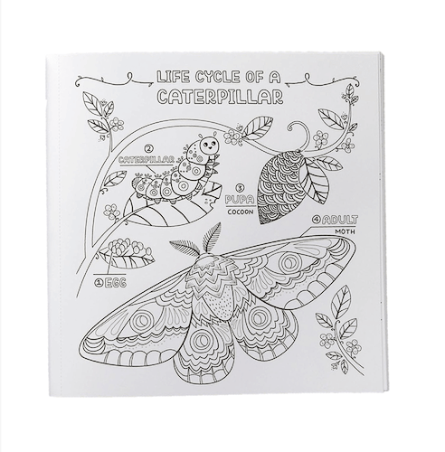 חוברת צביעה WHAT'S INSIDE A GARDEN  COLOURING BOOK