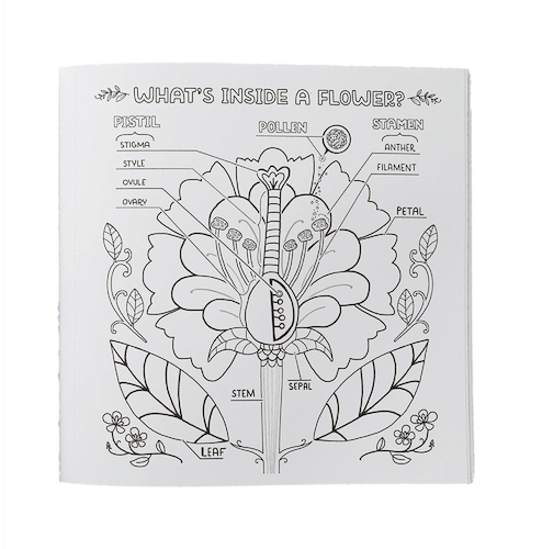 חוברת צביעה WHAT'S INSIDE A GARDEN  COLOURING BOOK