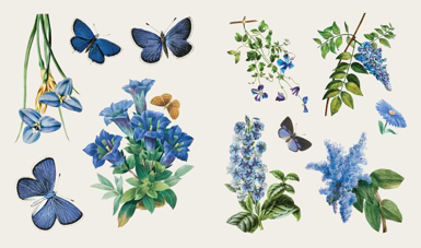 ספר מדבקות THE STICKER TREASURY OF BLOOMS AND BUTTERFLIES