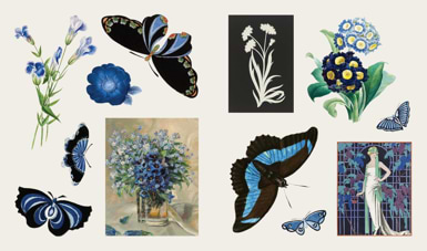 ספר מדבקות THE STICKER TREASURY OF BLOOMS AND BUTTERFLIES