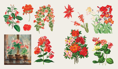 ספר מדבקות THE STICKER TREASURY OF BLOOMS AND BUTTERFLIES