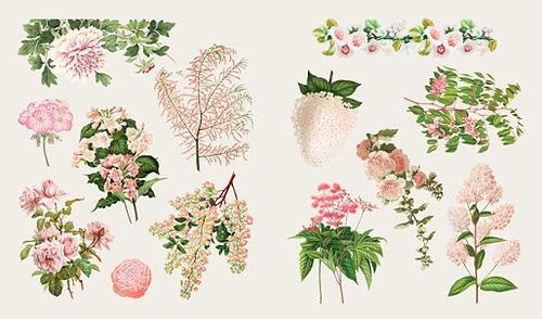 ספר מדבקות THE STICKER TREASURY OF BLOOMS AND BUTTERFLIES