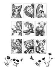 חוברת צביעה THE CUTE ONES COLOUR AND DISCOVER