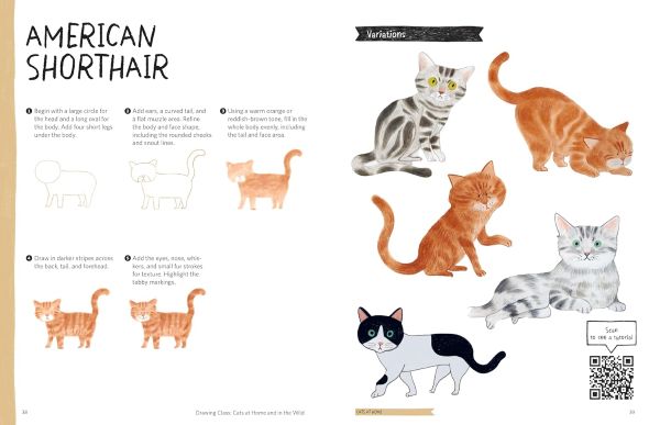 ספר לימוד רישום חתולים לילדים ומבוגרים DRAWING CLASS CATS AT HOME AND IN THE WILD