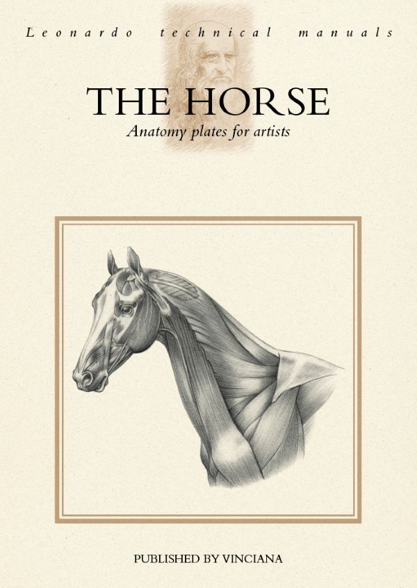 חוברת לאונרדו הסוס לוחות אנטומיה לאמן THE HORSE