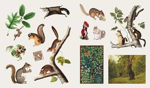 ספר מדבקות THE STICKER TREASURY OF WOODLAND ADVENTURES