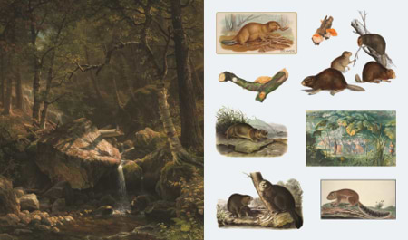 ספר מדבקות THE STICKER TREASURY OF WOODLAND ADVENTURES