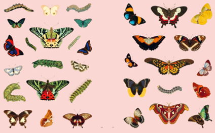 ספר מדבקות EXTRAORDINARY THINGS STICKER BOOK
