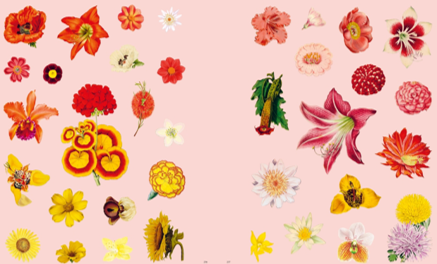 ספר מדבקות EXTRAORDINARY THINGS STICKER BOOK