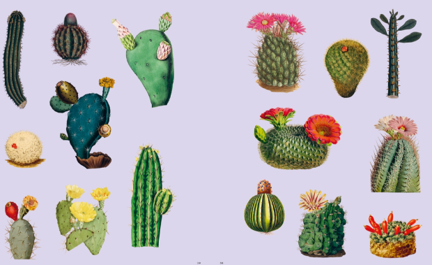 ספר מדבקות EXTRAORDINARY THINGS STICKER BOOK