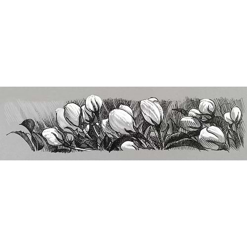 סט 4 טושים שחור ולבן פאבר קסטל - PITT ARTIST PENS BLACK & WHITE