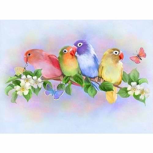 ציור לפי מספרים בגודל 60/50 דגם 3450/2 ציפורי אהבה