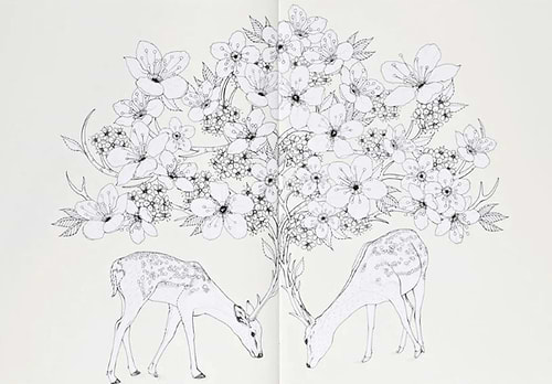 חוברת צביעה INTO THE WILD DAUSY FLETCHER