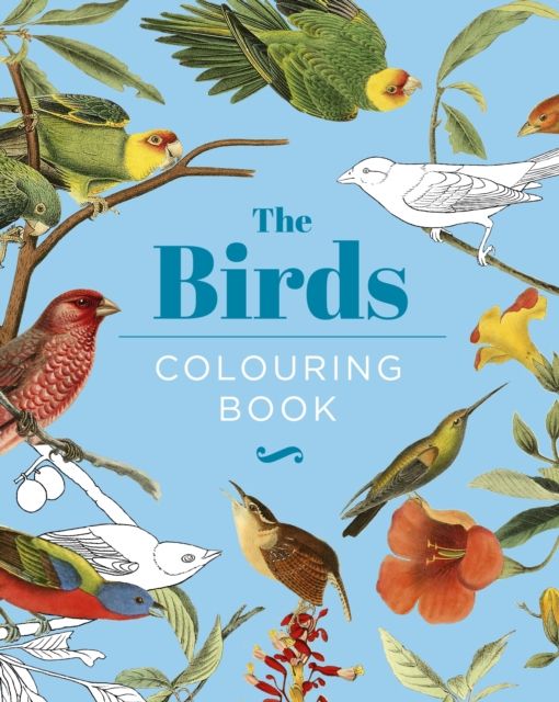 חוברת צביעה THE BIRDS COLOURING BOOK