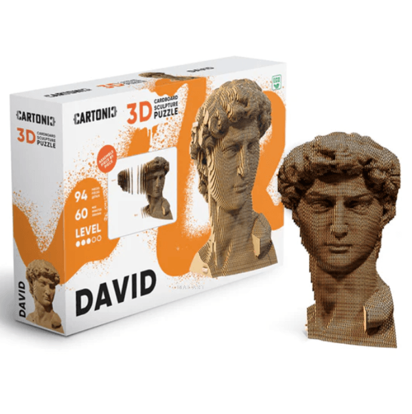 ערכת הרכבה תלת מימד דוד 3D PUZZLE DAVID 
