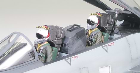 ערכת הרכבה מטוס  GRUMMAN F-14A TOMCAT BLACK KNIGHTS TAMITA