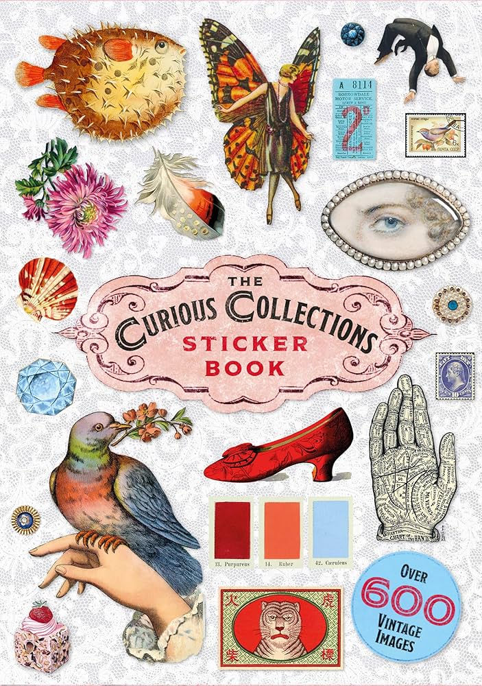 ספר מדבקות THE CURIOUS COLLECTIONS STICKER BOOK