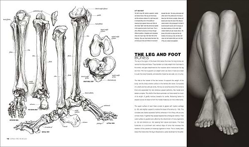 ספר אנטומיה רישום וצילום ANATOMY FOR THE ARTIST Sarah Simblet Fhotography John Davis