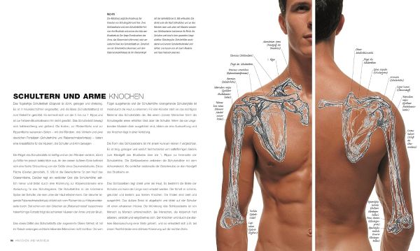 ספר אנטומיה רישום וצילום ANATOMY FOR THE ARTIST Sarah Simblet Fhotography John Davis