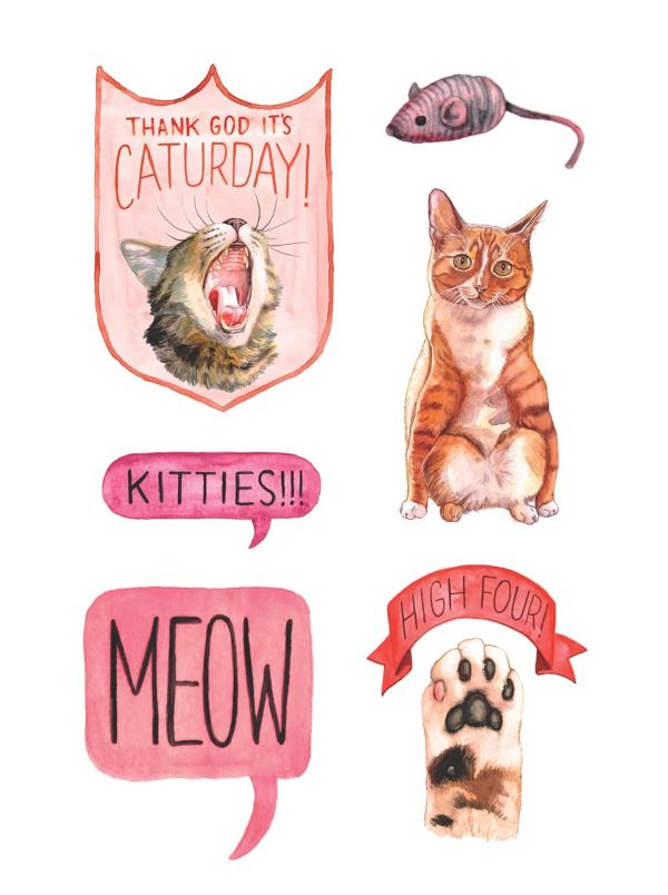 ספר מדבקות THE CAT'S MEOW STICKER BOOK