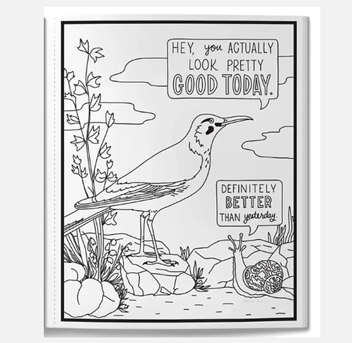 חוברת צביעה SALTY BIRDS ACOLORING BOOK
